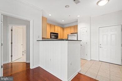 The Grove At Arlington unit 1102, Arlington, VA 22206 - photo 4