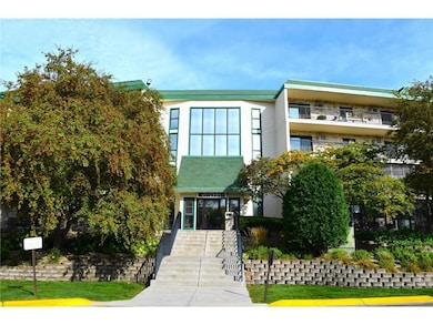 Look at those windows!