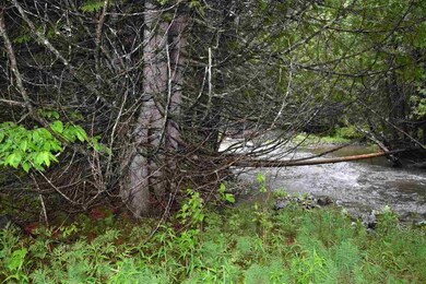 00 Chamberlain Hill, Albany, VT 05820 - photo 4