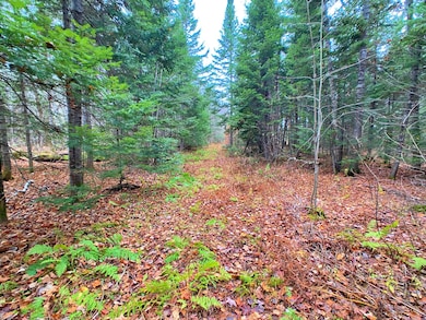 7 Garfield Rd, Masardis, ME 04732 - photo 3