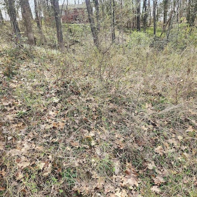 L-6, B-4 Tomahawk Dr, Cherokee Village, AR 72529 - photo 2