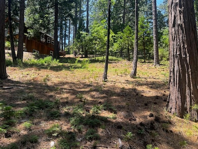 2904 Venado Dr, Arnold, CA 95223 - photo 5