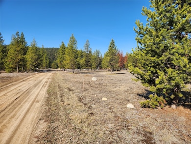 Nhn Happy Acres Ln, Sula, MT 59871 - photo 7