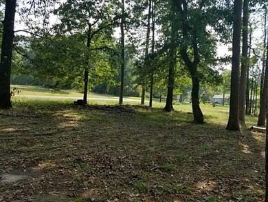 Front Yard. Large corner lot looking towards Womac