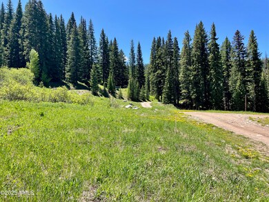 001 Street 8, Eagle, CO 81631 - photo 7