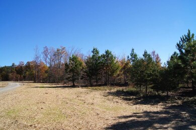 0 Eagle Eye Dr unit RTC2721801, Jasper, TN 37347 - photo 7