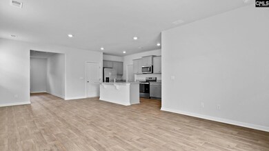 206 Livingston Woods Dr, Irmo, SC 29063 - photo 7