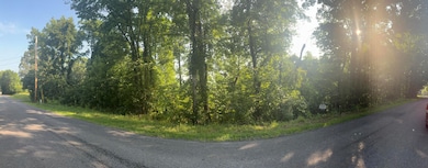 0 Oak Ridge Rd unit 919427, Buchanan, VA 24066 - photo 5