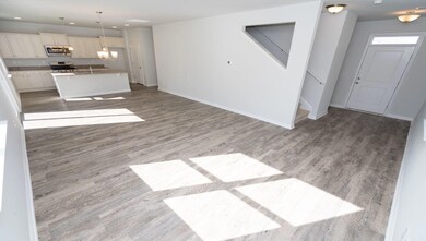 entry/living