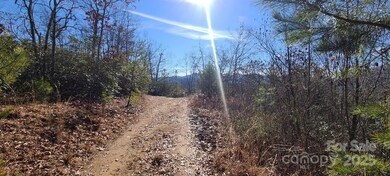 00 Sutton Branch Rd, Sylva, NC 28779 - photo 7