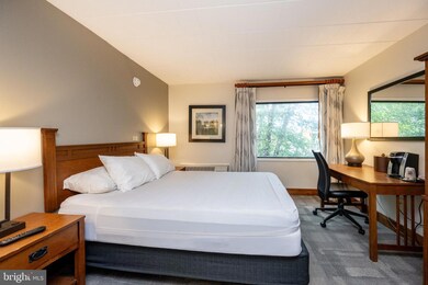 290 Marsh Hill Rd unit 224A, Mc Henry, MD 21541 - photo 7