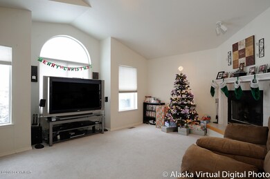 Living Room and Fireplace