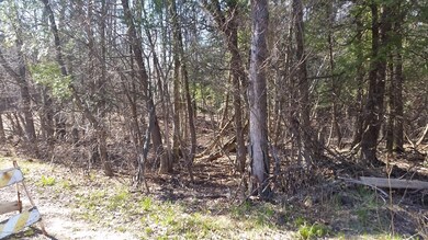 Taylor Road Woods
