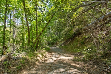 0 Kentucky Flat Rd unit 11555904, Georgetown, CA 95634 - photo 3