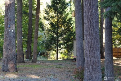 16916 Holly St SE, Yelm, WA 98597 - photo 6