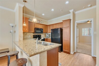 1198 Jones Butler Rd unit 3110, College Station, TX 77840 - photo 5