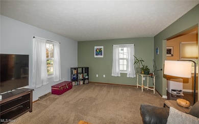 7711 Diagonal Rd, Kent, OH 44240 - photo 4