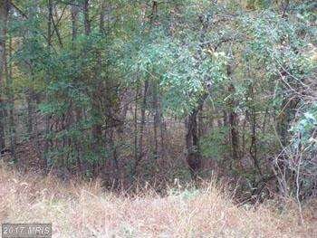 0 0 Oakland Hills, Berkeley Springs, WV 25411 - photo 3