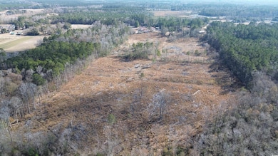 TBD Highway 905, Conway, SC 29526 - photo 7