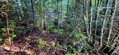 0 Alder Way unit 23-8799, St. Maries, ID 83861 - photo 4