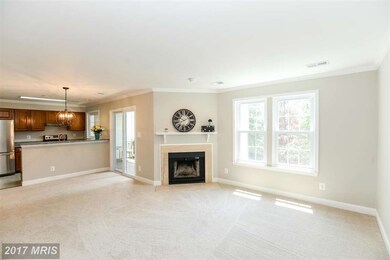 12954 Grays Pointe Rd unit B, Fairfax, VA 22033 - photo 3