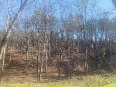 Lot 7 SW Holloway Rd, Cleveland, TN 37311 - photo 4