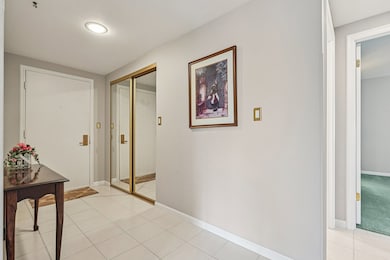 1105 N Mill St unit 224, Naperville, IL 60563 - photo 4