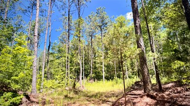 000 William Colvin Rd, Bernice, LA 71222 - photo 6