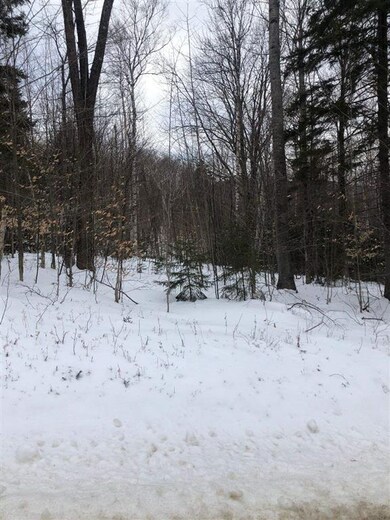 1 E Hill Rd, Andover, VT 05143 - photo 3