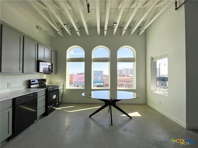 301 N Lbj Dr unit 202, San Marcos, TX 78666 - photo 3