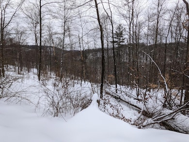 0 Rustic Rd, Pike Township, PA 16833 - photo 3