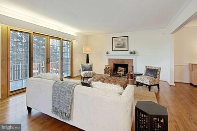 7305 Park Terrace Dr, Alexandria, VA 22307 - photo 4