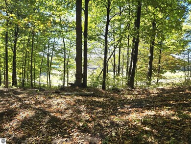 0013 Heather Ridge Trail, Beulah, MI 49617 - photo 5