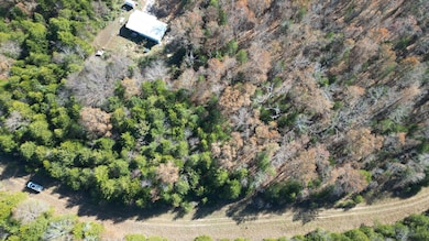 1207 Santa fe Rd, Horseshoe Bend, AR 72512 - photo 3