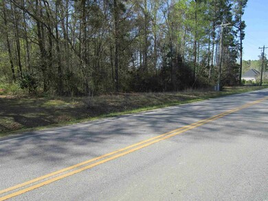 TBD Highway 19, Conway, SC 29526 - photo 3