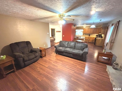 3480 Nation Rd, Salem, IL 62881 - photo 3