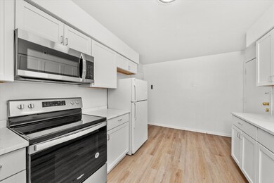 unlisted-address, Chicago, IL 60629 - photo 3