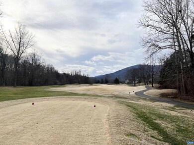 0 Hunters Point unit 11I M 39 649267, Nellysford, VA 22958 - photo 3