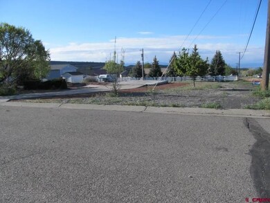 0 NE Knottypine Ct unit 692986, Cedaredge, CO 81413 - photo 3