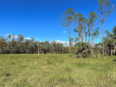 3570 Magnolia Trace, Labelle, FL 33935 - photo 6