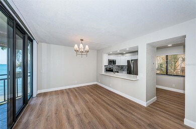 La Puerta Del Sol unit 305, Saint Petersburg, FL 33715 - photo 7