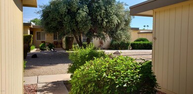14005 N 111th Ave, Sun City, AZ 85351 - photo 4