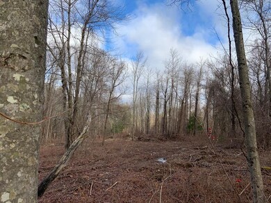 2 Mendon Rd, Sutton, MA 01590 - photo 5