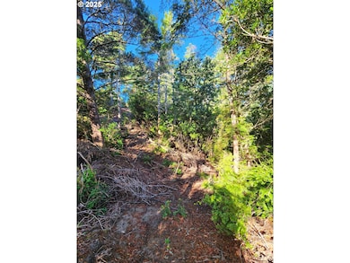 0 Windleaf Way unit TL4100 313727279, Florence, OR 97439 - photo 5