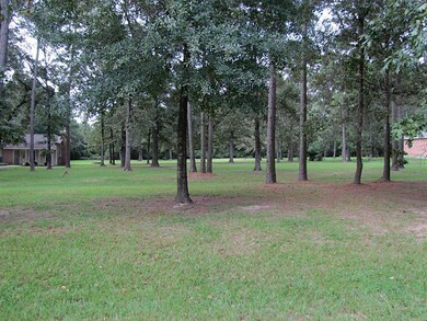 Lot 6 Ridgewood Dr, Magnolia, TX 77355 - photo 3