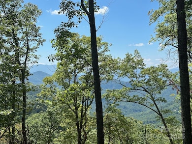 00 Falls View Rd unit 70, Bryson City, NC 28713 - photo 4