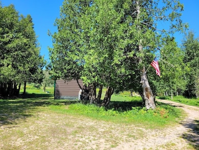 back of cabin from driveway