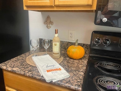 10288 W Winston Ave unit 4, Baton Rouge, LA 70809 - photo 5