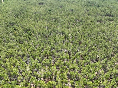 0 Ralph Davis Rd, Folkston, GA 31537 - photo 2