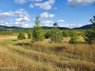 NKA Ogara Rd, Harrison, ID 83833 - photo 6